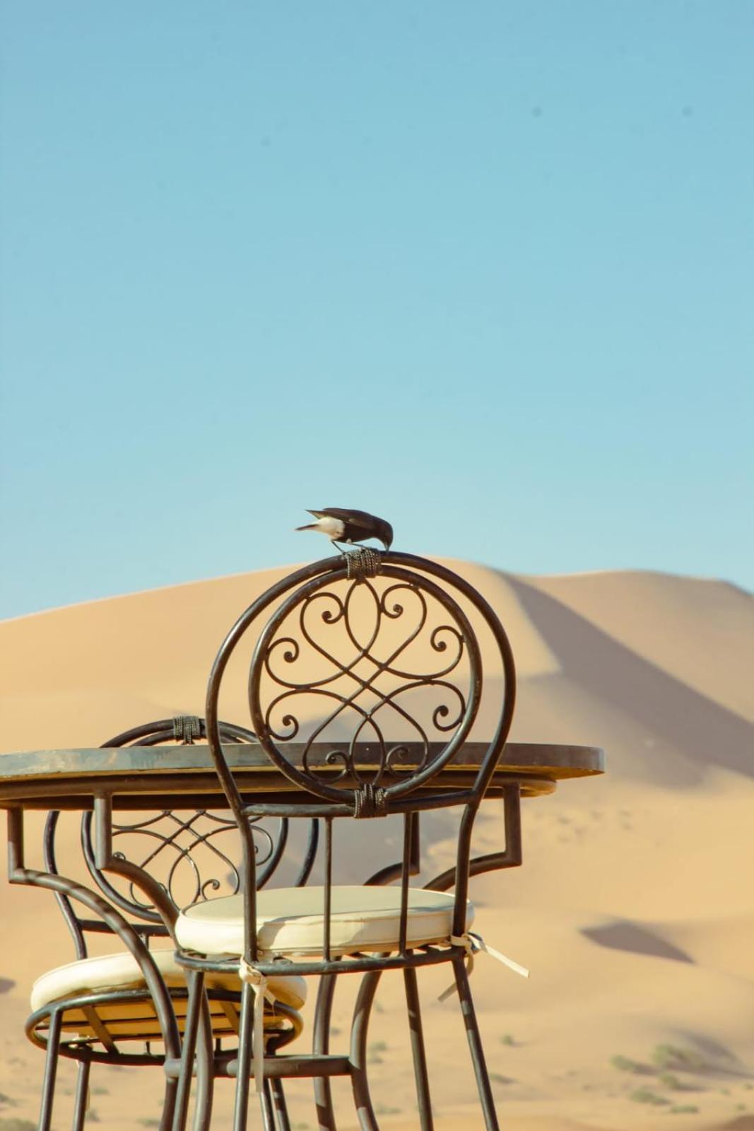 Diament Luxury Camp 5*